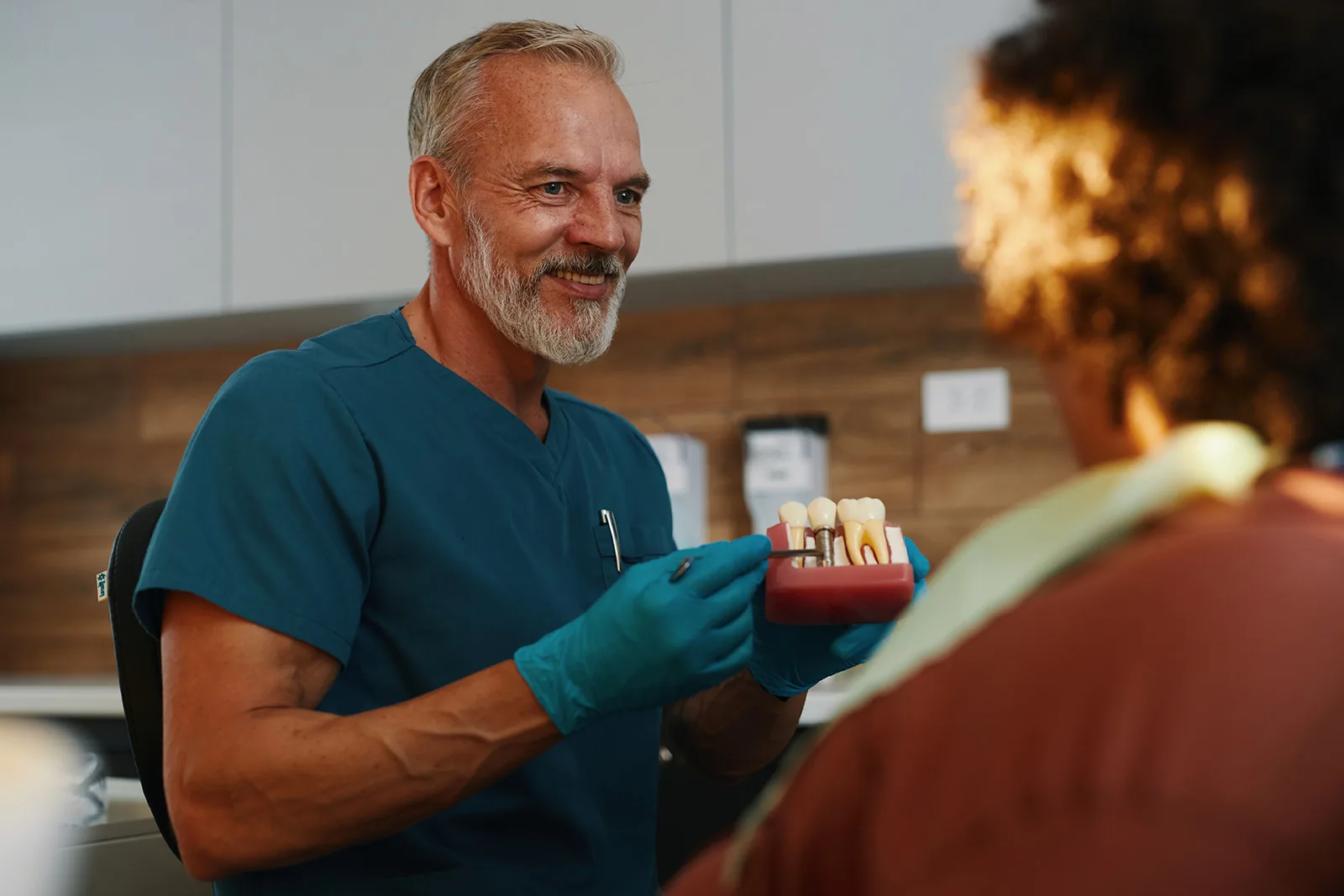 Dentist explaining a tooth replacement model to a patient